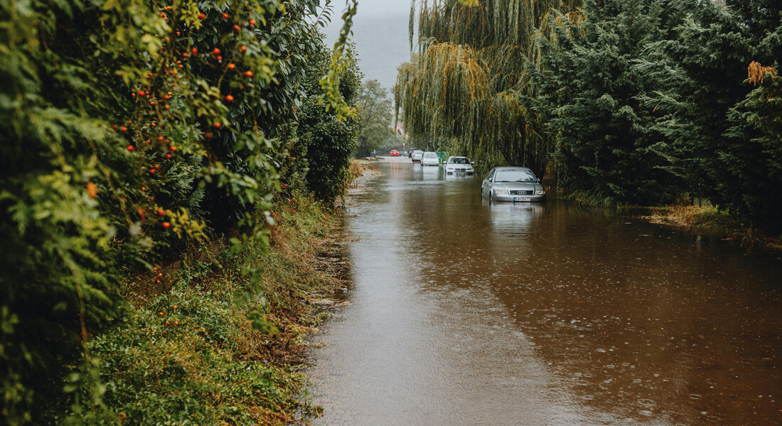 Photo by Helena Jankovičová Kováčová / Pexels