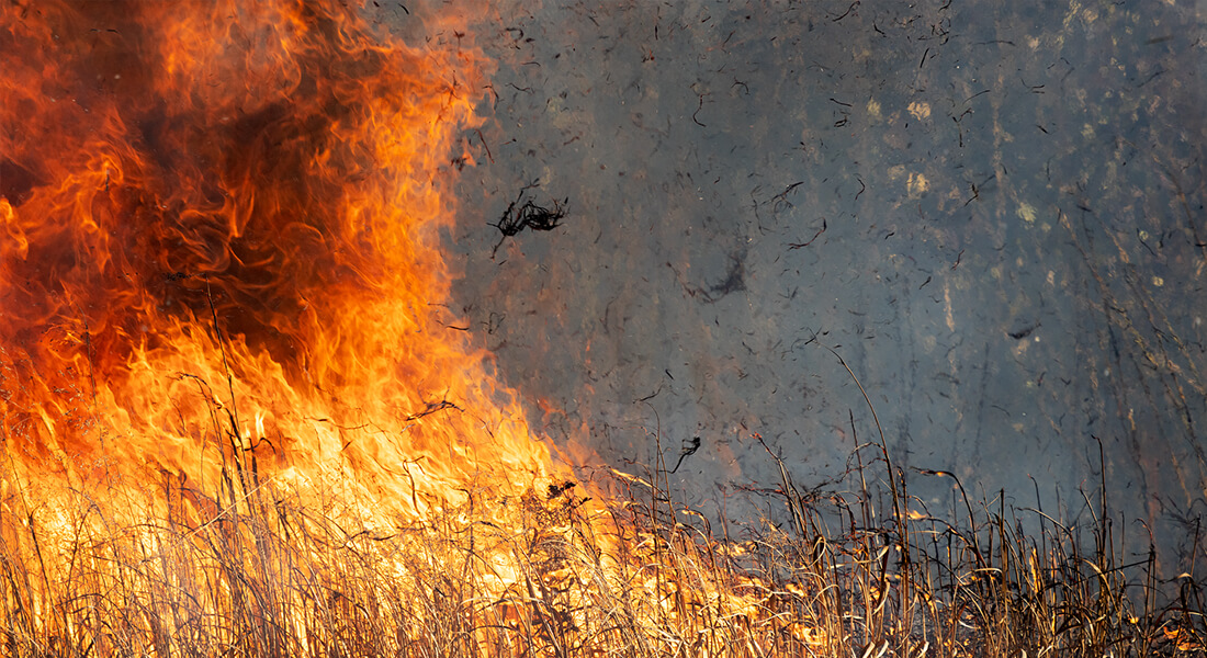 Wildfire burning